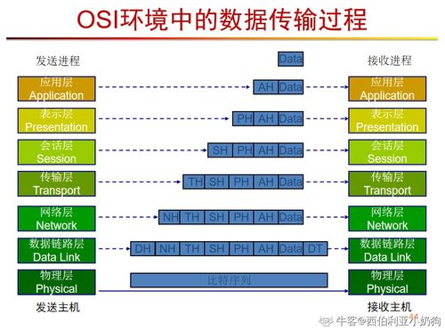 計(jì)算機(jī)網(wǎng)絡(luò)系統(tǒng)工程服務(wù) 構(gòu)建高效、安全、可靠的數(shù)字基石